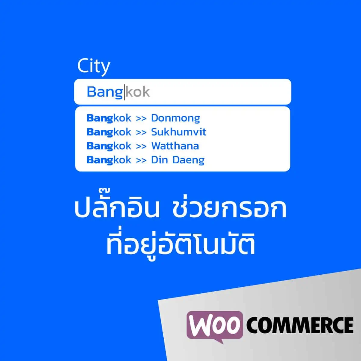 ปลั๊กอิน ช่วยกรอกที่อยู่อัติโนมัติ /  Autocomplete Thailand Address  Woocommerce