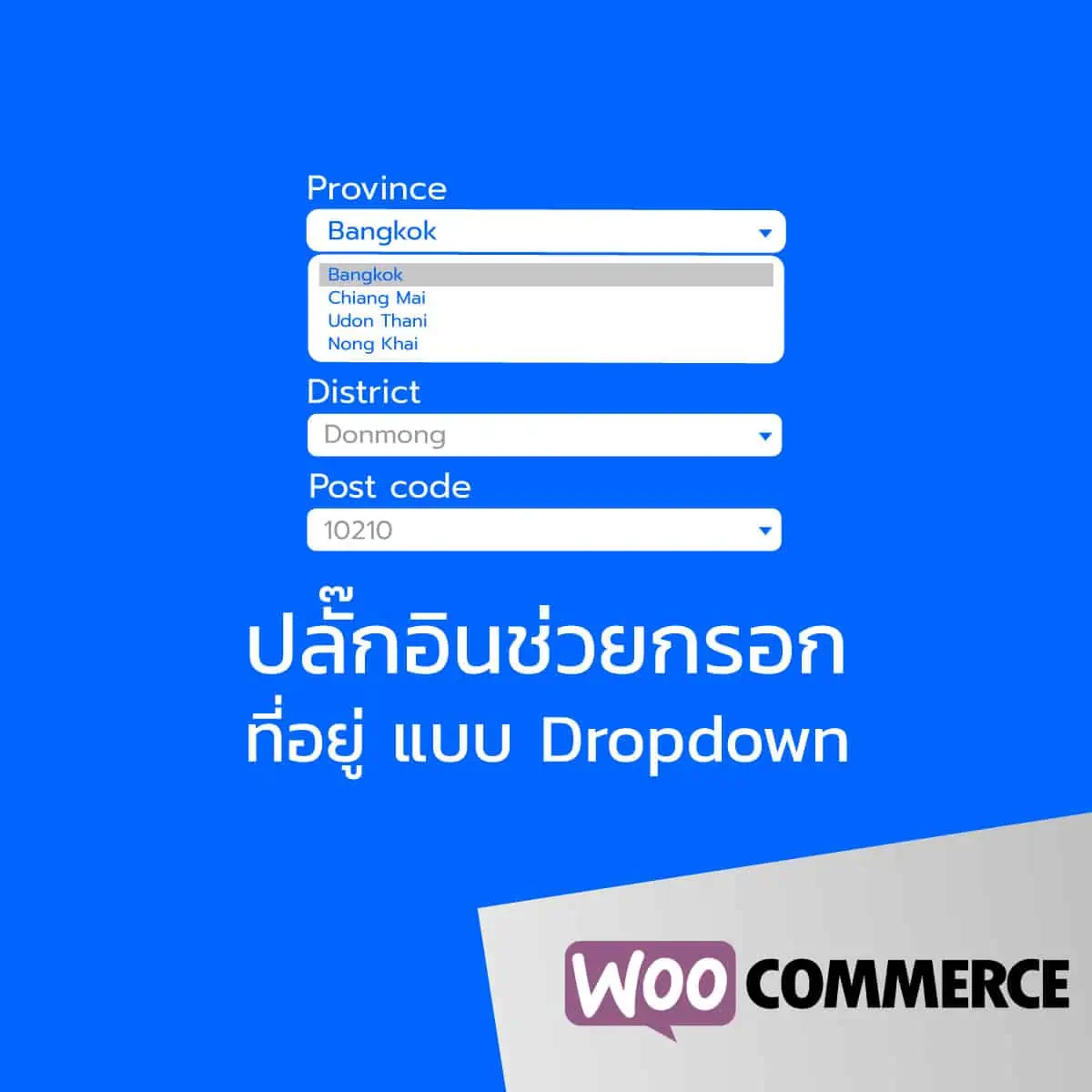 ปลั๊กอินช่วยกรอก ที่อยู่ (Autocomplete Address) Woocommerce แบบ dropdown