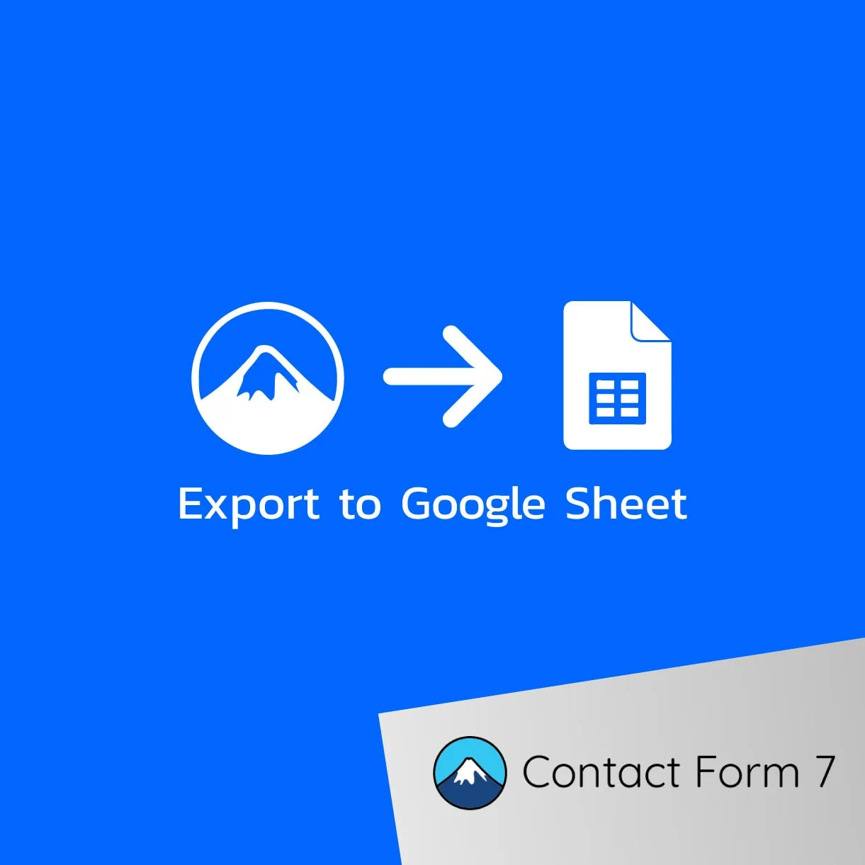 Contact Form 7 Google Sheet Add-On